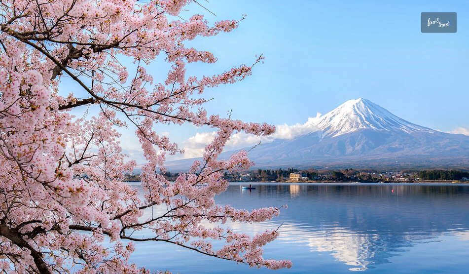 Mount Fuji And Kawaguchiko The Icon