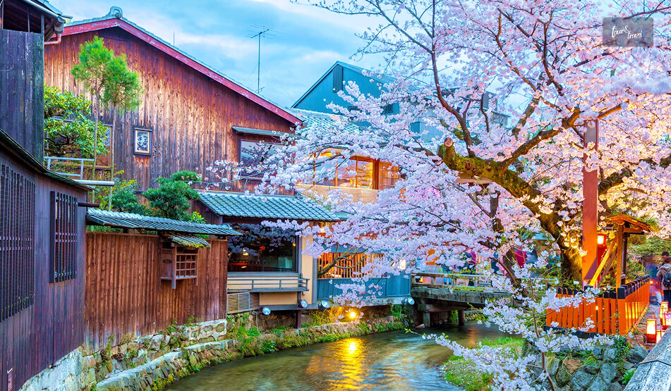 Shimbashi Street (Shirakawa-Dori)