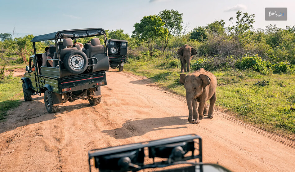 Spending A Day In Hurulu Eco Park