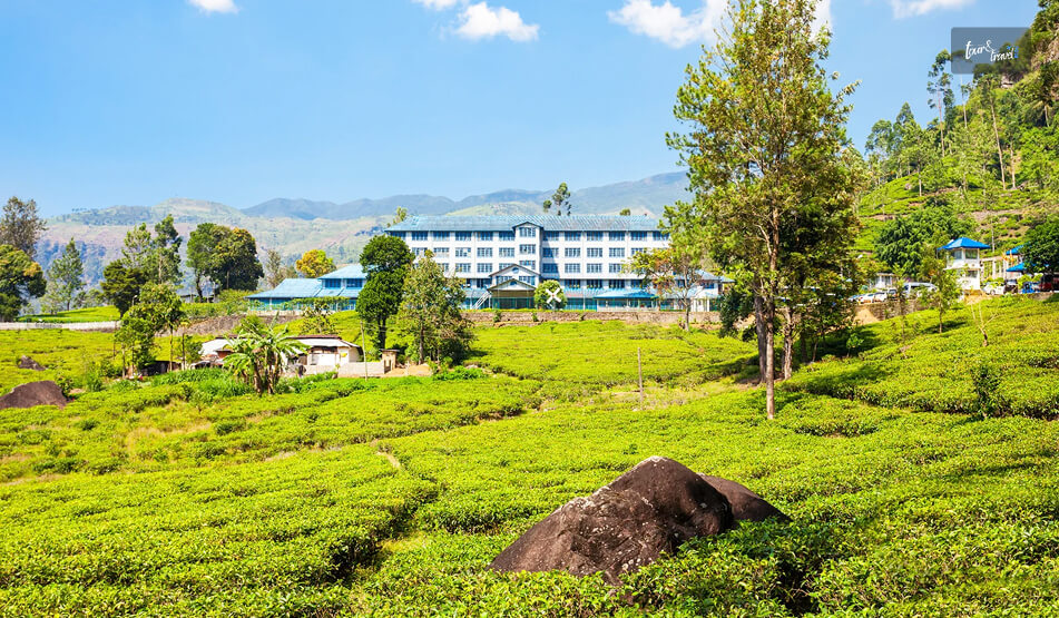 Taking A Tour Of The Dambethenne Tea Factory