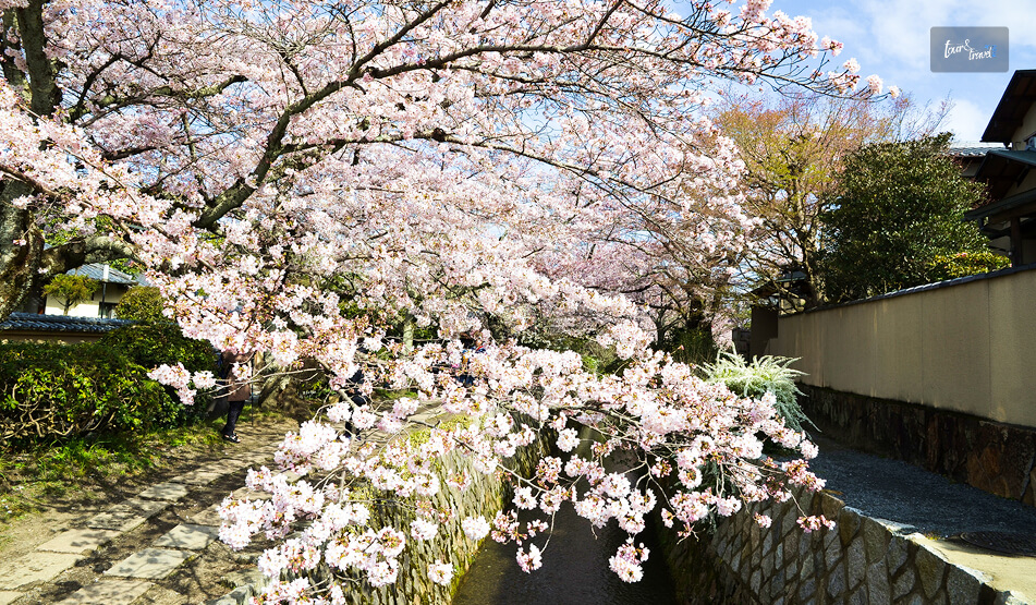 The Philosopher’s Walk (Tetsugaku-No-Michi)