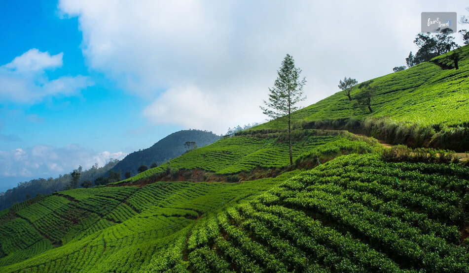 Visiting Nuwara Eliya, The Coldest Place In Sri Lanka
