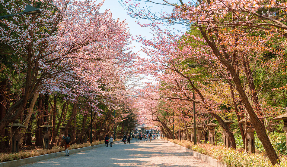 Visiting The Parks And Gardens