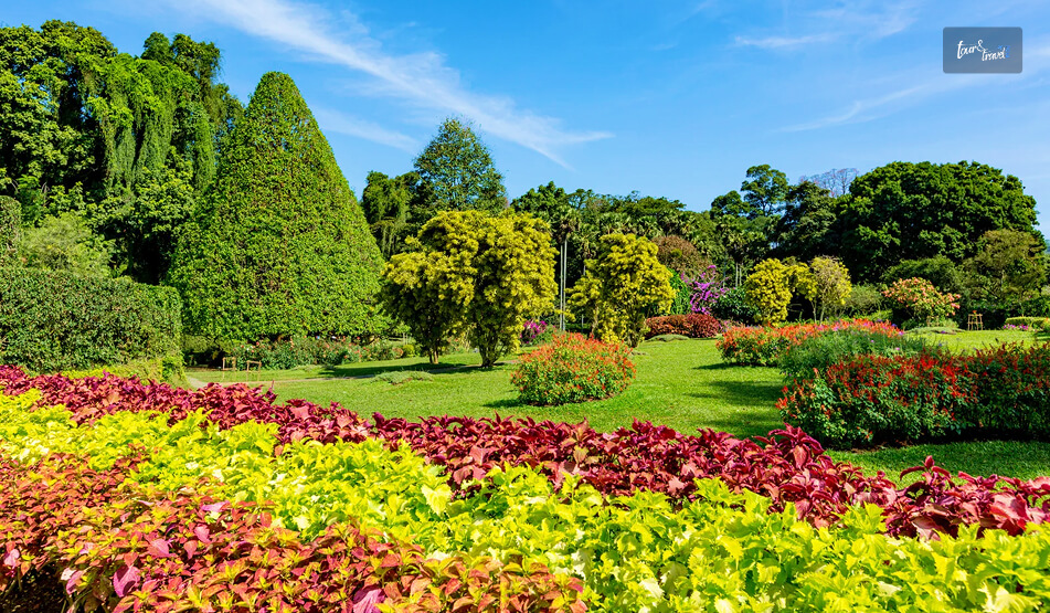 Visiting The Royal Botanic Gardens
