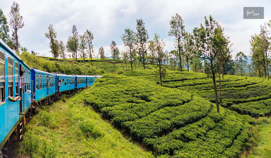 What Are The Best Viewpoints Of The Nine Arch Bridge
