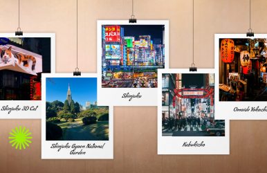 What to do in Shinjuku