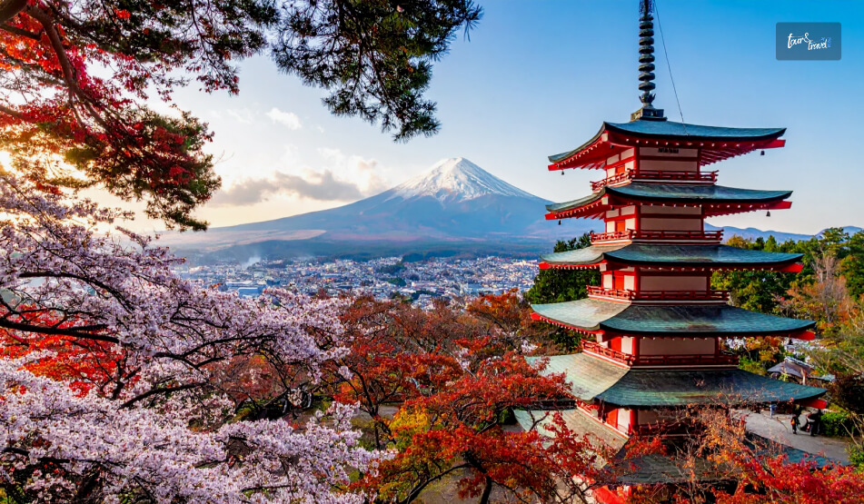 Why Is A Mt Fuji Day Trip From Tokyo Special Is It Overhyped