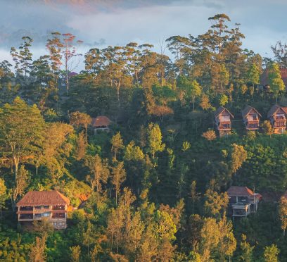 ella hotels