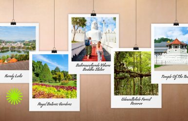 things to do in kandy