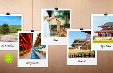 things to do in nara