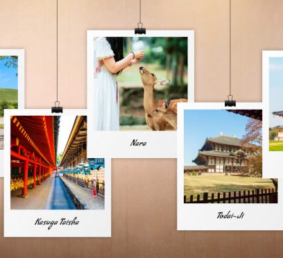 things to do in nara