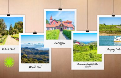 things to do in nuwara eliya