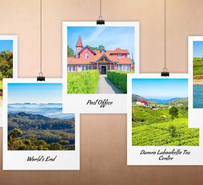 things to do in nuwara eliya