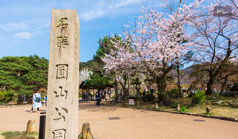 Enjoying The Cherry Blossom Season In Kyoto