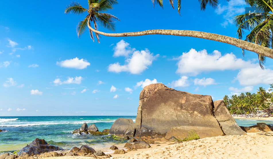 How To Reach Dalawella Beach