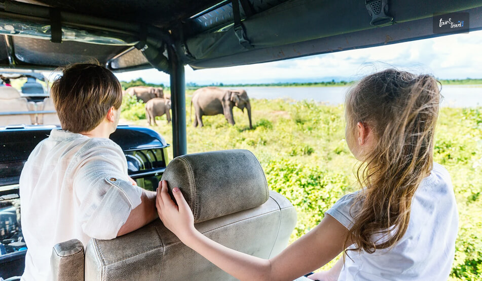 Safari At The Udawalawe National Park
