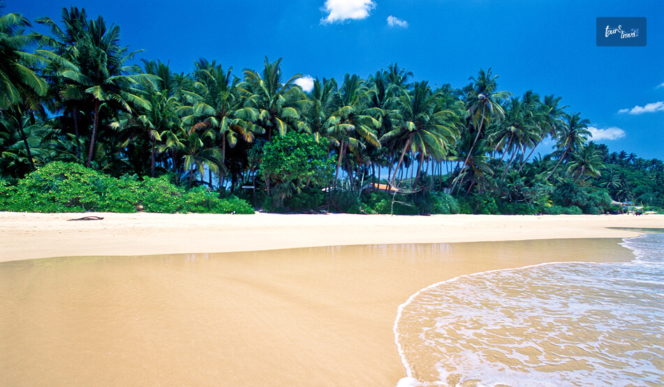 Mirissa Beach