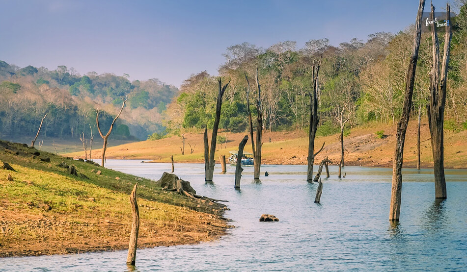 Periyar National Park, Kerala The Beautiful Periyar Lake And Elephants