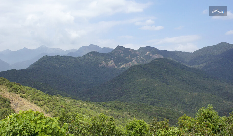 Silent Valley National Park, Kerala