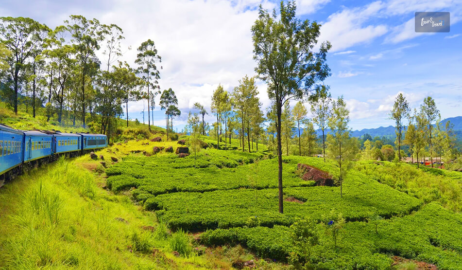 The Kandy To Ella Train Journey Why Is It So Famous