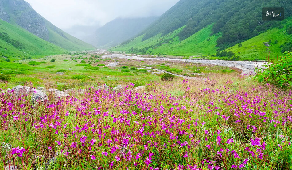 Valley Of Flowers National Park, Uttarakhand A UNESCO World Heritage Site