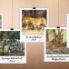 plan a weekend trip to a nearby national or state park