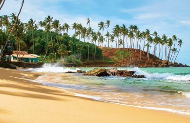 things to do in mirissa