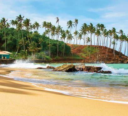 things to do in mirissa