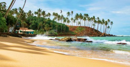 things to do in mirissa