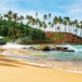 things to do in mirissa