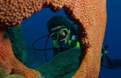 Grand Cayman Diving