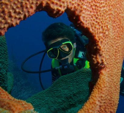Grand Cayman Diving