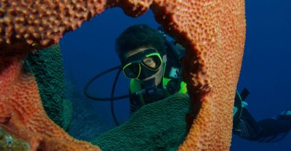 Grand Cayman Diving