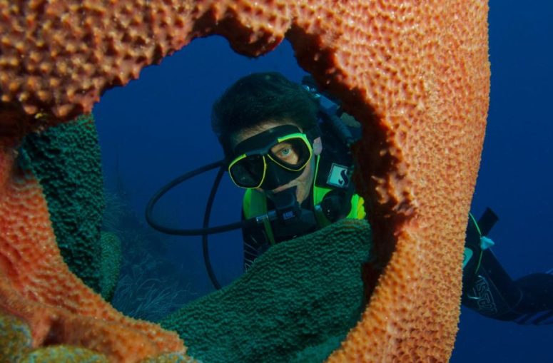 Grand Cayman Diving