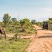 Kumana National Park Safari