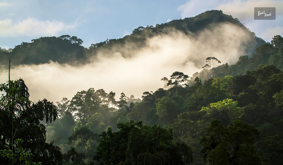 Sinharaja Forest Reserve