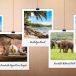 Sri Lanka travel tips