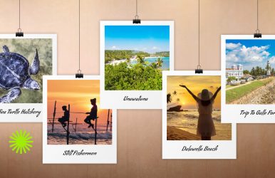 things to do in unawatuna