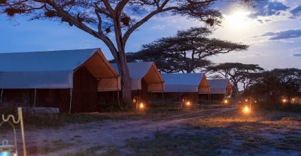 where to stay in yala national park