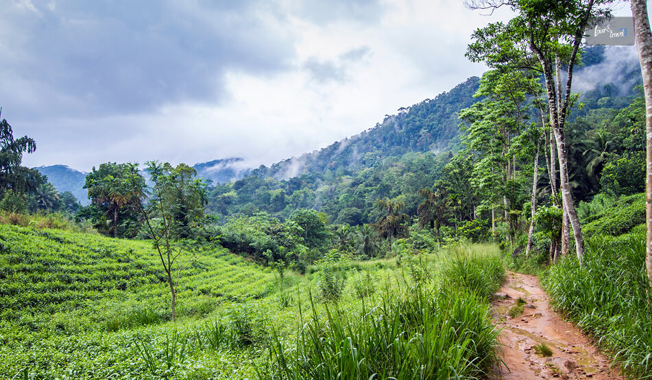 A Trip To Kalutara Know The Perfect Itinerary