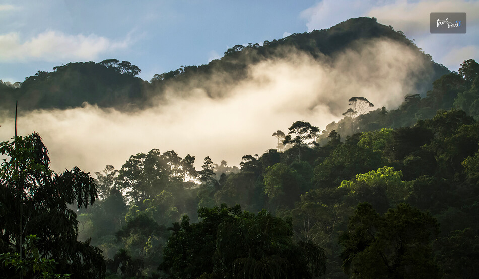 Going For A Guided Hike In The Sinharaja Forest Reserve