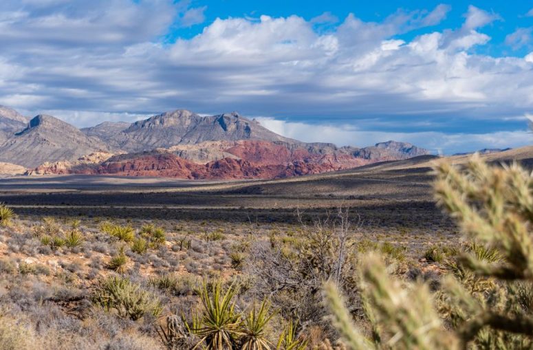 Las Vegas To Grand Canyon