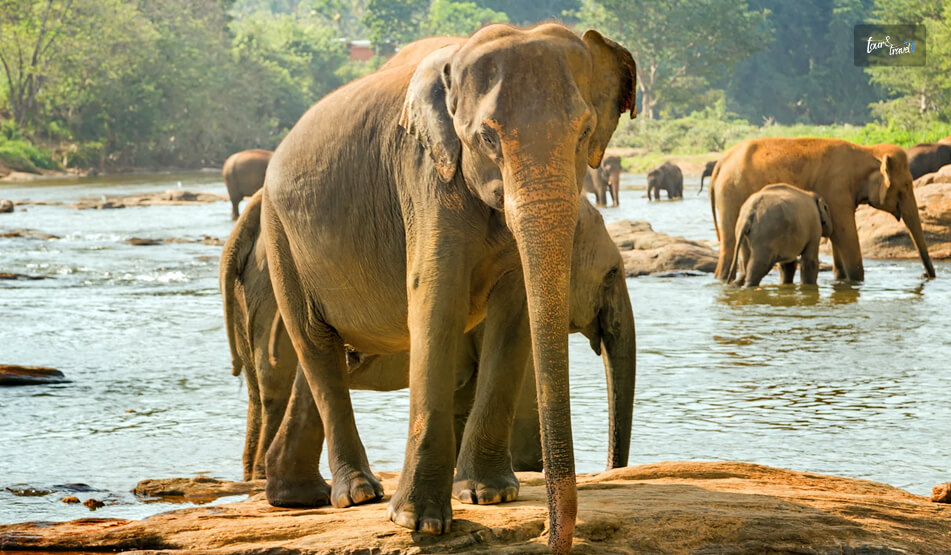 My Day In Kilinochchi