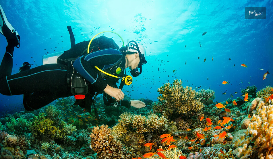 Scuba Diving