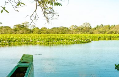 Vavuniya