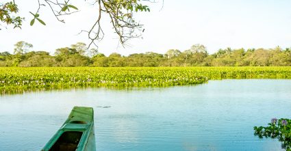 Vavuniya