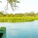 Vavuniya