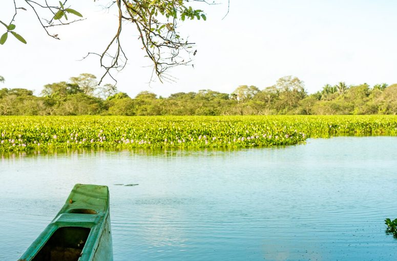 Vavuniya