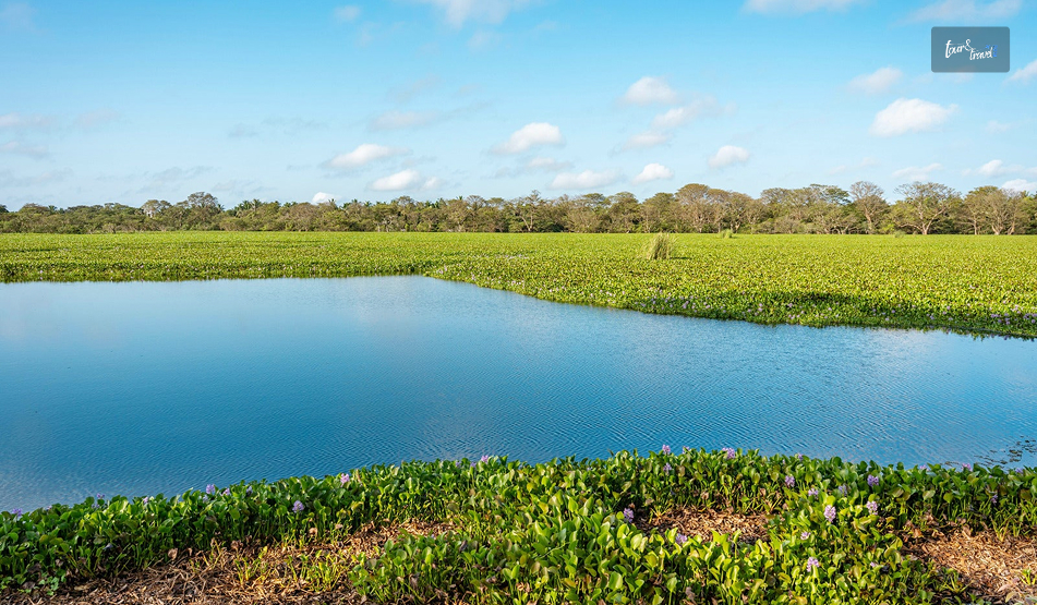 How Chilaw, Sri Lanka, Turned A Quick Stop Into Two Extra Days: Know The Fishing Town