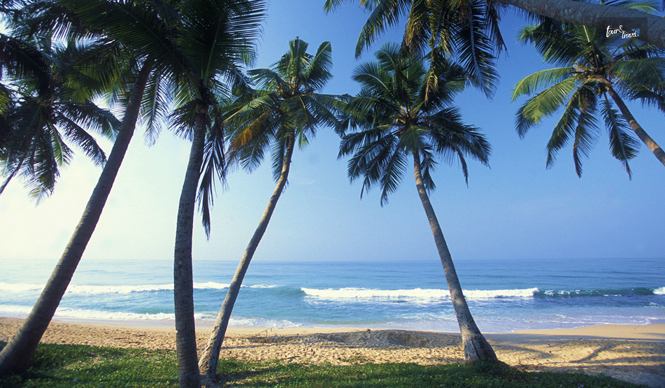 How Chilaw, Sri Lanka, Turned A Quick Stop Into Two Extra Days: Know The Fishing Town